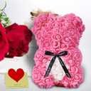 Double Couple Gift for Mom Women-Rose Cute Bear - Rose Adorable Teddy Artificial Bear - Best Gift for Valentines Day, Mothers Day, Anniversary, Birthdays- Clear Gift Box Included!10 Inches Tall (Pink)