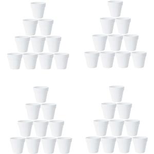 Lorcn 40 Pcs 3 Inch Terracotta White Ceramic for DIY Face Succulent Plants in Pots Plant Cactus Nursery Pots