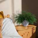 16 Pcs Christmas Norfolk Pine Branches Picks,18" Extra Length Artificial Xmas Branches Plants Pine Stems Needles, Fake Greenery Norfolk Pine Stems Sprigs for DIY Craft Garland Home Garden Decor