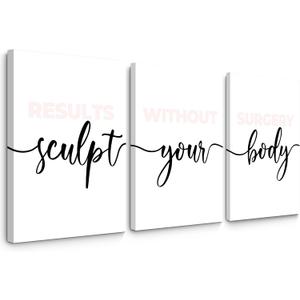 Spa Wall Art Set of 3 Blush Pink Body Sculpting Wall Decor Spa Salon Pictures and Wall Art Girl Esthetician Artwork Poster Prints for Spa Massage Room Girl Room Bedroom 16x24 Inch Wrapped Canvas