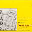 Strathmore Smooth Newsprint Paper Pad 18"X24"-50 Sheets -307018