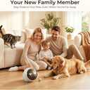 Vivideye Pet Camera 1080P, Movable Robot Security Camera for Dog Cat, Rolling Robot Indoor Camera with Talk,Battery-Operated, Auto-Recharge, Night Vision,SD/Cloud Storage, Pet/Human/Voice Detection