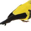 6PCS Small Artificial Birds 3.5" Yellow Bird Oriole Finches Ornament for Christmas Tree Decoration Wreaths Craft Seasonal Winter Displays (Claw)