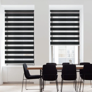 SEEYE Horizontal Window Shade Blind Zebra Dual Roller Blinds Day and Night Blinds Curtains，Easy to Install 21.7" x 59", Black