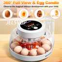 Upgraded Egg Incubators for Hatching Eggs, 12 Egg Incubator with Automatic Egg Turning, Temperature Control & Humidity Display, LED Candler, Incubator for Chicken, Duck, Quail Eggs (Orange)
