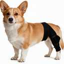 Dog Knee Brace for Leg, Adjustable Dog Braces for Torn ACL Support, Built in Side Stabilizers, Breathable Dogs Hip Brace for Arthritis Relief, Joint Stability and Post Surgery Recovery Small