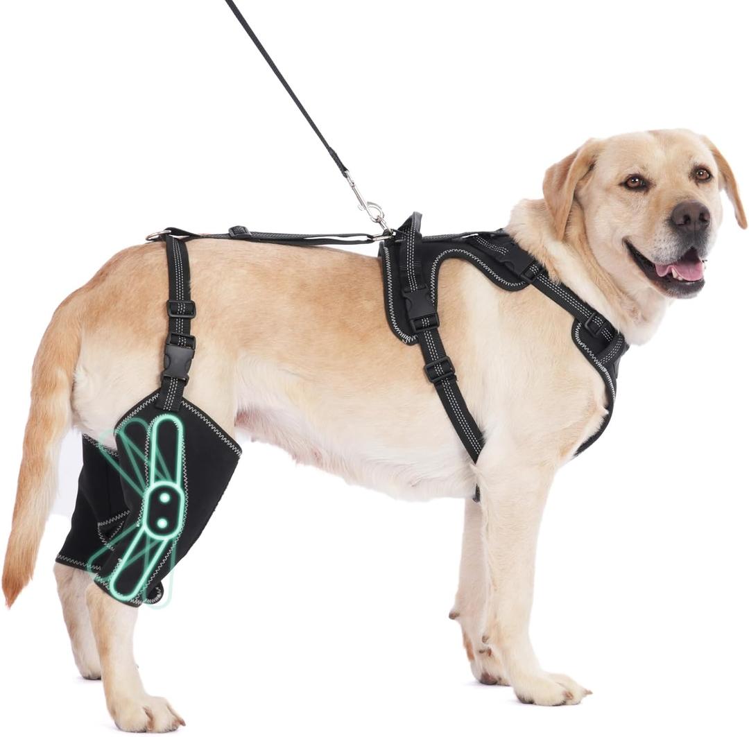 Dog Hip Brace Support for Muscle Rehabilitation with Traction Rope, Four Limbs Wear Adjustable Design Relieve Joint Pain M Size