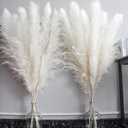 46" inch 10 Stems Cream Pampas Grass Decor Tall, Dry Flowers for Floor Vases Decor, Natural Dried Flowers for Wedding, Natural Home Decor, Wall Grass, Glam Decor