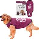 BellyGuard Recovery Suit for Dogs, Comfy Dog Surgery Suit, Female Spay and Male Neuter Onesie for Post-Op Care (X-Large, Maroon)