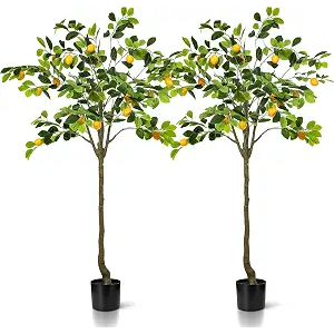 Jexine 2 Pack Artificial Lemon Tree 5 ft Tall Fake Plant Pre Potted Faux Lemon Tree Realistic Fruits for Indoor Home Decor Office Living Room