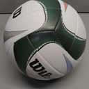 WILSON AVP PXL Volleyball - Official Size, White/Blue/Green