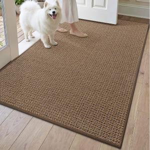 DEXI Indoor Entryway Door Mat 4x6 Washable Entry Doormat, Taupe | Non Slip Low Profile, Front Entrance Mats Dirt Trapper for Inside House Floor Patio Backdoor, 48" X 72"