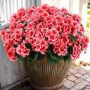 Hananona 6 Pcs Artificial Geranium Flowers for Outdoors Geraniums Silk Flowers Outdoor UV Resistant Garden Plants Faux Flowers for Home Kitchen Table Centerpieces Decor (6, Peach)