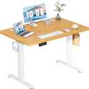 DUMOS 48 Inch Electric Standing Desk Height Adjustable, Sit to Stand Up Computer Workstations Work PC Table Home Office Study Writing Gaming Desks with Memory Presets for Walking Pad, Bedroom, Oak