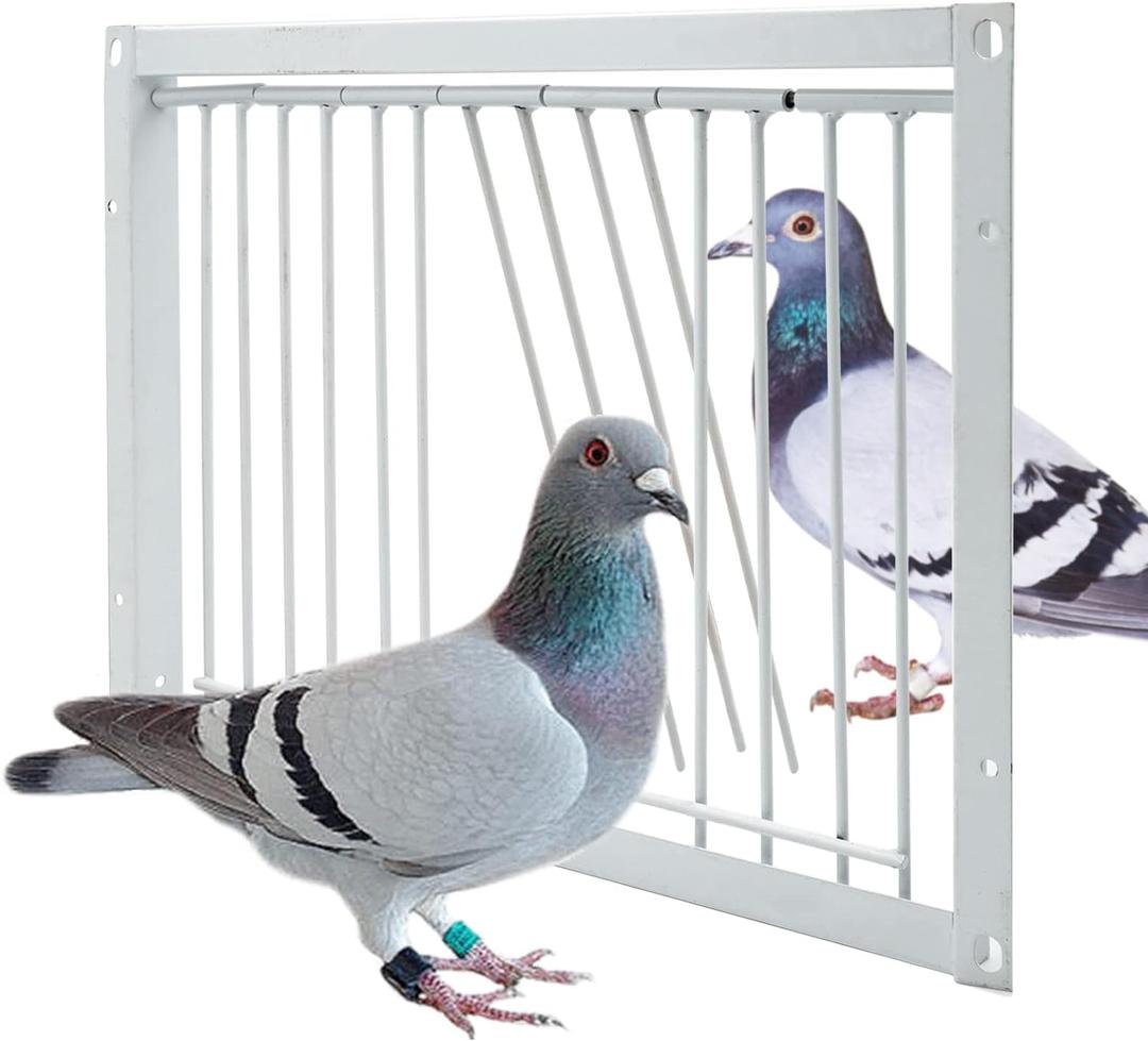 Junniu 11.8in/30cm Pigeon Cage Door One Way Entrance Door Bird T Trap Birdcage Iron Wire Trap Door for Racing Pigeon Bird Cage Breeding Supply 11.8in (30cm)