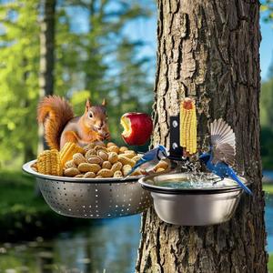 2-Hoop Squirrel/Bird Feeder, 2025 Cute Metal Bowl Outside Tree Mounted, 8.5" Drainage + 5.5" Solid Bowl for Food/Water, Perfect Squirrel Feeders for Yard