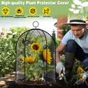 Novabright 2 Pack Garden Cloches for Plants 12" x 16" with Stakes & Zip Ties, Plant Covers from Animals Large Metal Mesh Chicken Wire Cloche Plant Protector Cage for Vegetable Garden Outdoor (Black)
