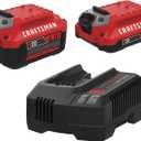 CRAFTSMAN 20V Battery and Charger Set, 2Ah and 4Ah Lithium Ion Batteries and Charger Kit (CMCB204-CKVA)