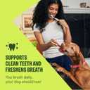 Whimzees Wellness Stix Natural Dog Dental Treat, Chews, Freshens Breath, Small Size Sticks, 14.81 oz Bag, 28 Count (EXP 02/26/28)