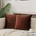 JIAHANNHA Velvet Brown Throw Pillow Covers Pack of 2 Spring Decorative Soft for Couch Sofa Bed Livingroom Office 2020 Inches