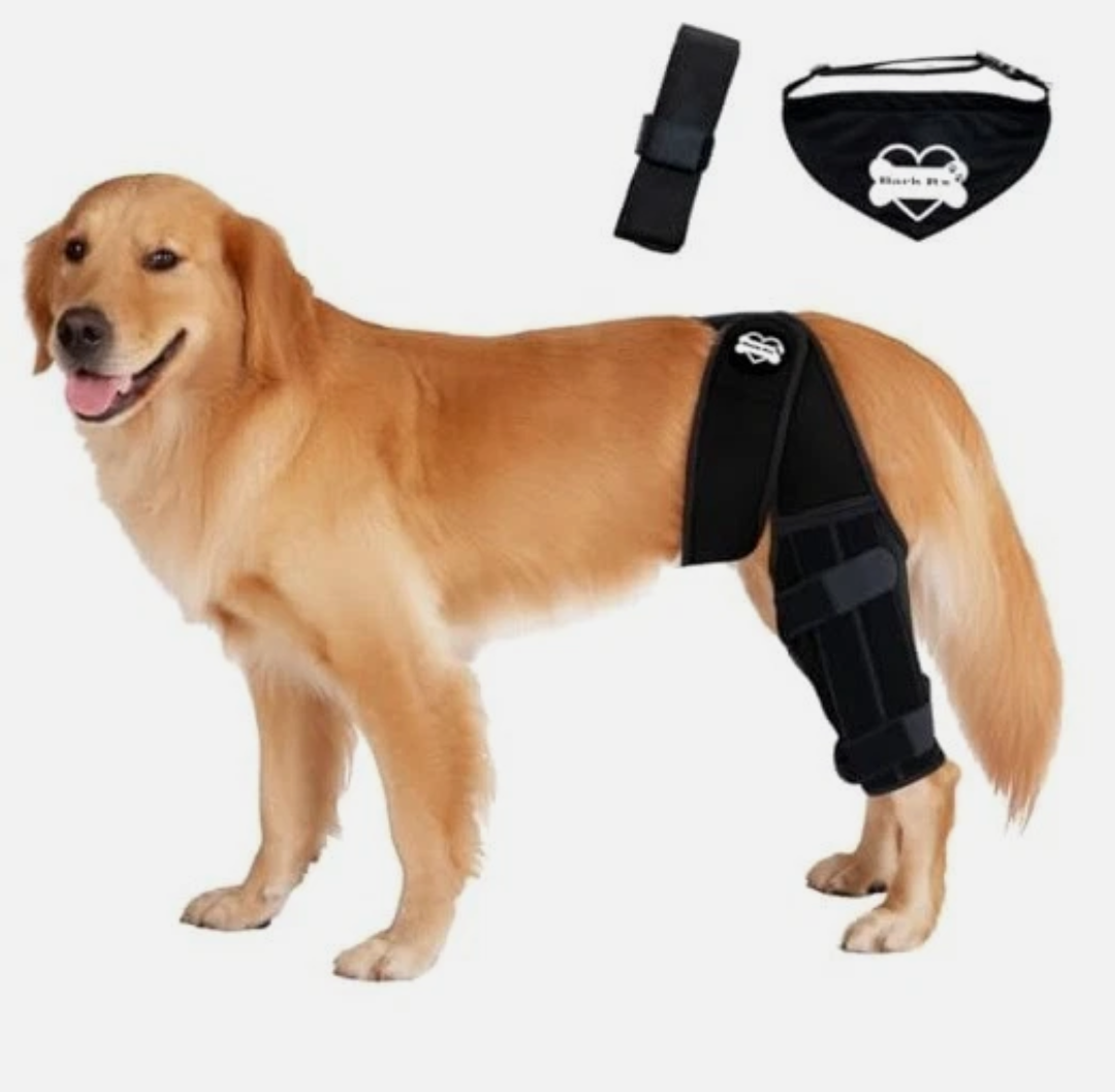 Bark Rx: Dog Knee Brace Hind Leg - Orthopedic Brace for Dogs - Integrated Support Strap for Canine Cruciate Ligament, Luxating Patella, Dislocation Injury - Includes Bandana Collar - Black (L)