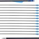 LWANO 28" Fiberglass Arrows - Archery Practice Target Arrows with Blunt Tips Durable Shaft for Youth Kids Children Beginners on Recurve&Long Bows(Pack of 12), 28inch-12pc arrows