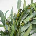 Olive Wreath for Front Door 22 inch, Greenery All Season Wreath with Olive Leaf Fruit, Home Decoration for Outdoor Living Room Indoor Wall and Outside Summer All Season Wedding
