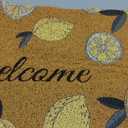Lemon Welcome Mat 30x18 Inch Nonslip Summer Coir Front Entry Rug for Bathroom Cute Welcome Spring Mat for Kitchen Porch Indoor Outdoor Decoration