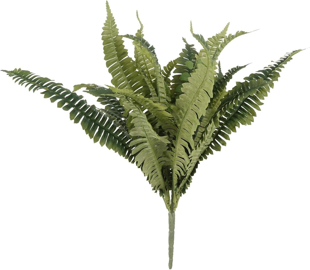 Ashland Boston Fern Bush Fern Collection