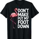 Funny Flamingo Design for Men Women Kids Bird Pink Flamingo T-Shirt (M, Black)