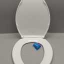 KOHLER Brevia Slow Close Elongated Toilet Seat, White