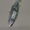 Farberware Edgekeeper 5-Inch Santoku Knife with Self-Sharpening Blade Cover, High Carbon-Stainless Steel Kitchen Knife with Ergonomic Handle, Razor-Sharp Knife, Black