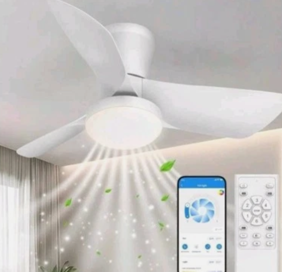 Ceiling Fans Lights with APP & Remote Control: 30 Inch Low Profile Ceiling Fans with Lights Reversible Small Flush Mount Ceiling Fan 3 Colors Quiet 6 Speeds Ceiling Fan for Bedroom Livingroom Kitchen