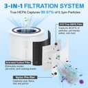 Core 300 Air Purifier Replacement Filter for LEVOIT Core 300,Core 300S,Core P350,VortexAir Air Purifier Core300-P,Core 300-RF,3-in-1 H13 Grate True HEPA Activated Carbon,2 Pack