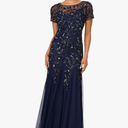 Adrianna Papell Womens Bead Long Dress with Godets, Size 22W