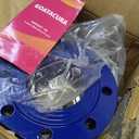 4" Woltmann Helix Water Meter, Pulse Output, Epoxy-Coated Cast Iron, Accuracy Class B, Resistant Seals, Cubic Meter, Non-Potable Use