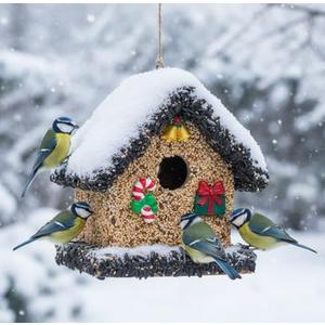 CEDAR ALPHA 2026 Seeded Birdhouse for Outdoor, Seeded Birdhouse for Outside, Wood Seeded Bird House Covered with birdseeds, Birdseeded Bird Feeders for Outside Hanging