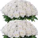 FOTEEWL 60 Pcs Artificial Rose Flower Realistic Faux Silk Roses Stem Fake Roses Bouquet for Flower Arrangement,Wedding Centerpieces,Party,Home Decorations (Beige)