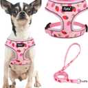 PUPTECK Soft Mesh Dog Harness and Leash Set Pet Puppy Cat Comfort Padded Vest No Pull Harnesses, Strawberry Pink, S, Size: S (NECK: 12", CHEST: 14"-18")