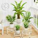 5 Pack Plant Stand Indoor Outdoor,Heavy Duty Black Iron Potted Stand Holder,Anti-Rust Iron Flower Pot Stand Decoration Racks Plant Display Shelf for Living Room, Garden, Balcony(WhiteS)