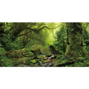 AWERT Tropical Forest Terrarium Background Stream Green Huge Tree Reptile Habitat Background Foggy Rainforest Aquarium Background 36x20 inches Durable Polyester Background