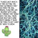 Cactus Soil Potting Mix with Mycorrhizal Fungi - 4 Quarts of Soil for Succulents and Cactus - High Drainage, Slightly Acidic, Soil for Healthy and Happy Indoor Plants