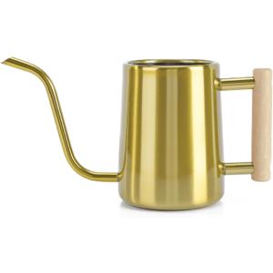 Watering Can Indoor Plants, 35 oz/1000 ml Metal Stainless Steel Watering Can Pot with Long Spout for Indoor House Plants Bonsai Outdoor Garden Flower Decorative (Gold)