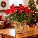 Adnee 2 Roll 10 Yard Floral Foil Plant Pot Covers, Matte Texture Christmas Plant Pot Foil with Patterns, Golden Floral Pot Wrapping Paper for Christmas Home Flower Pot DIY decor