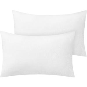 BEDELITE Flannel Pillow Cases Queen Size Set of 2, Super Soft Fleece Pillowcases with Zipper for Bedroom, Sofa, Couch,Luxury Cozy Velvet Pillow Shams for All Seasons(20x30 Inches, Bright White)