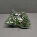 22" Inch Mistletoe Christmas Decor Hanging 2 PCS Xmas Holiday Kissing Artificial Hanging Christmas Teardrop Swag with Bow White Berries Pine Needles for Home Wall Window Festival Wedding Decor