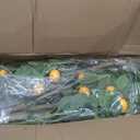 Jexine 2 Pack Artificial Lemon Tree 6 ft Tall Fake Plant Pre Potted Faux Lemon Tree Realistic Fruits for Indoor Home Decor Office Living Room