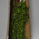 Celltestria 36pcs Christmas Tree Picks Decoration Ornaments 17’’ 12’’ Artificial Red Green Glitter Berry Stems Fake Candy Pick Branches for Xmas Trees Vase Filler Wreath Craft Decor