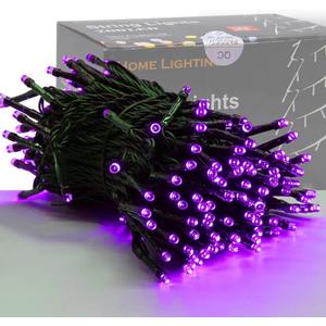 HOME LIGHTING 66ft Halloween Decorative Mini Lights, 200 LED Green Wire Fairy Starry String Lights Plug in, 8 Lighting Modes, for Indoor Outdoor Xmas Tree Wedding Party Decoration (Purple)