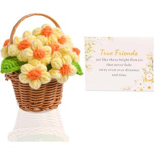 Best Friend Birthday Christmas Crochet Flowers Basket for Women Friends Long Distance Moving Away Leaving Farewell Gift Handmade Flower Decor with Basket Bestie Sister Coworker Friendship